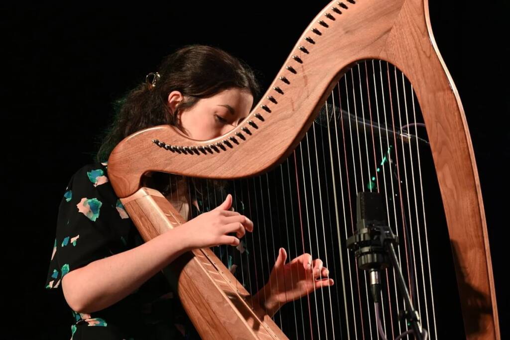 Close up of a musician playing a harp.