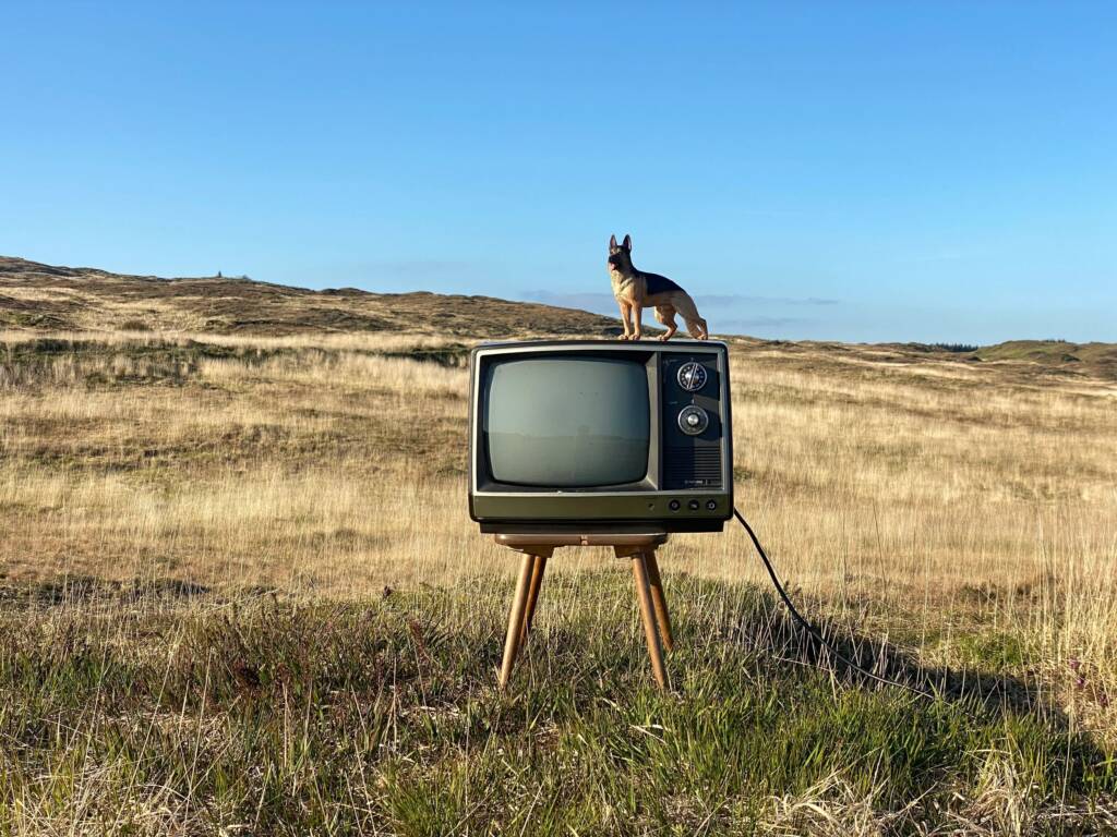 A small figurine of a german shepherd sits on top of a vintage television set, which stands in a grassy landscape